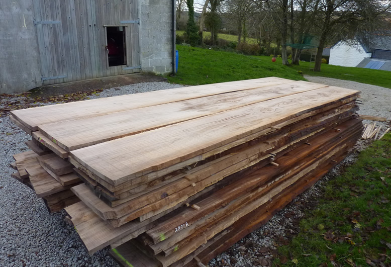 elm-nancarrow